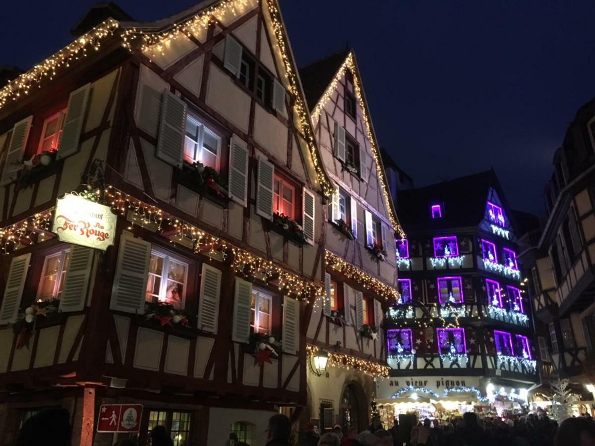 Villa Beaux lofts près d'Europa Park et Strasbourg à Obenheim Extérieur photo