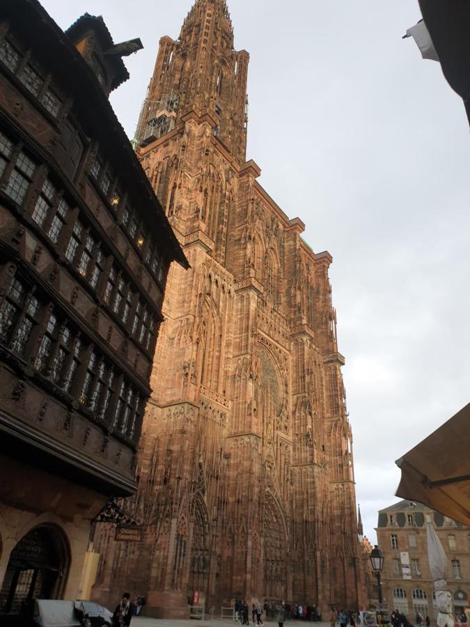 Villa Beaux lofts près d'Europa Park et Strasbourg à Obenheim Extérieur photo